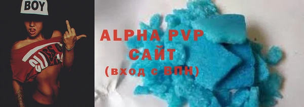 твердый Инта