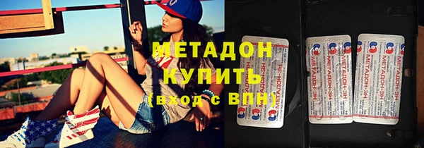 шишки Корсаков